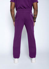 Amalfi Classic Men's Purple Scrub Pants
